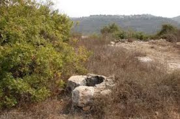  | موسوعة القرى الفلسطينية