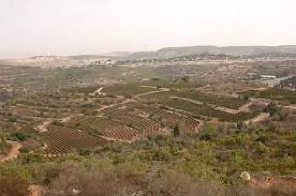  | موسوعة القرى الفلسطينية