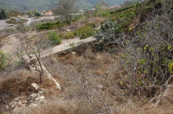  | موسوعة القرى الفلسطينية