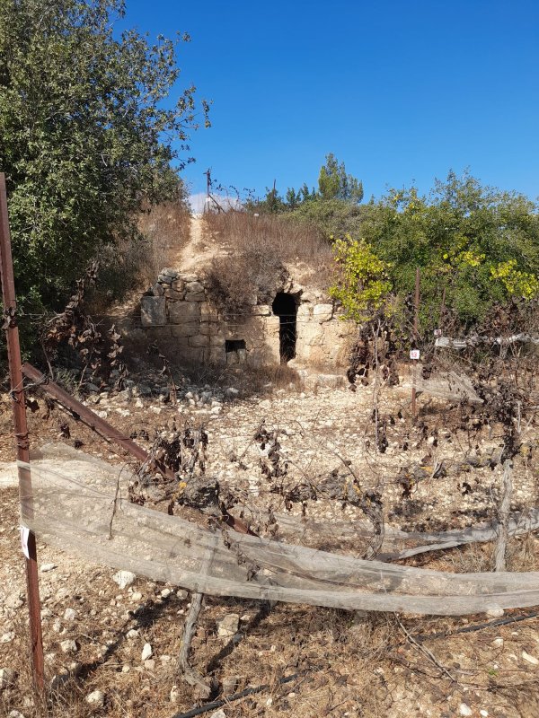  | موسوعة القرى الفلسطينية