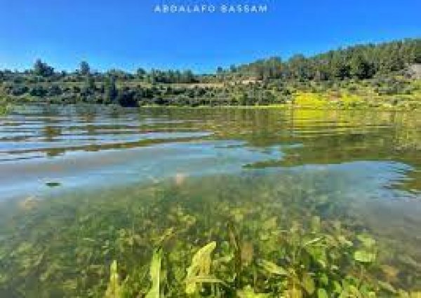  | موسوعة القرى الفلسطينية