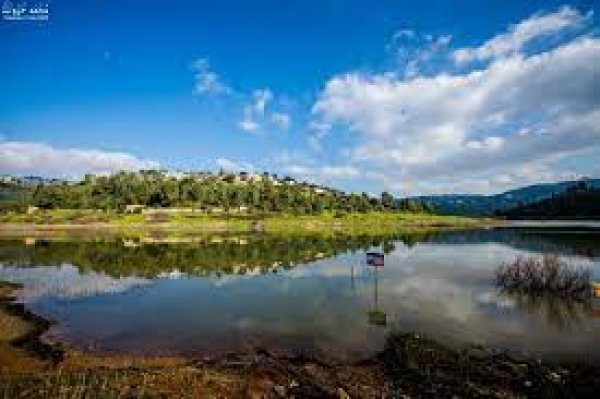  | موسوعة القرى الفلسطينية