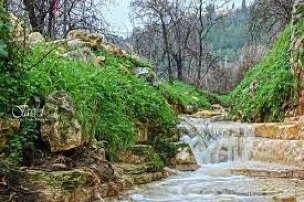  | موسوعة القرى الفلسطينية