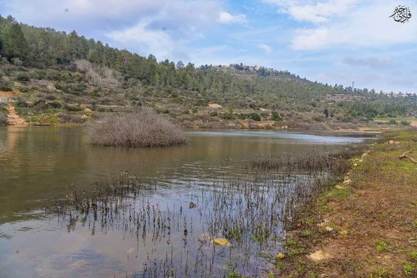  | موسوعة القرى الفلسطينية