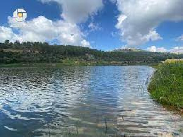  | موسوعة القرى الفلسطينية