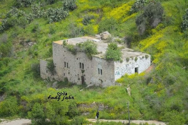 قرية لفتا بعدسة: فادي جبر