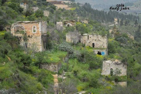 قرية لفتا بعدسة: فادي جبر