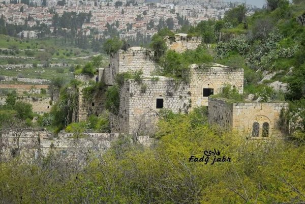 قرية لفتا بعدسة: فادي جبر