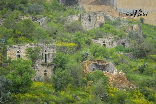 قرية لفتا بعدسة: فادي جبر