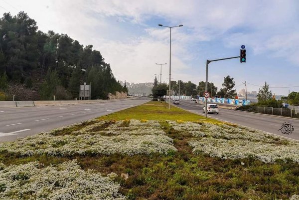 قرية لفتا بعدسة: فادي جبر