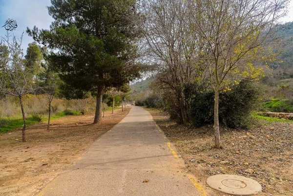 قرية لفتا بعدسة: فادي جبر