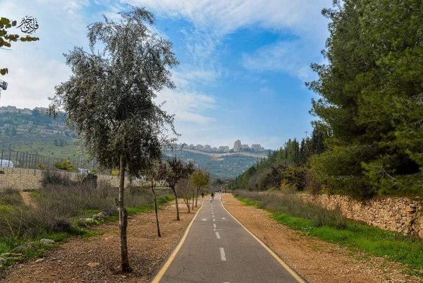 قرية لفتا بعدسة: فادي جبر