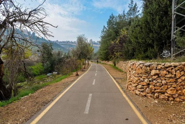 قرية لفتا بعدسة: فادي جبر