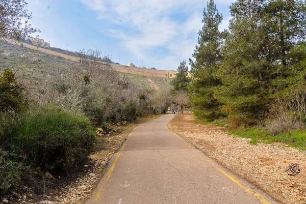 قرية لفتا بعدسة: فادي جبر