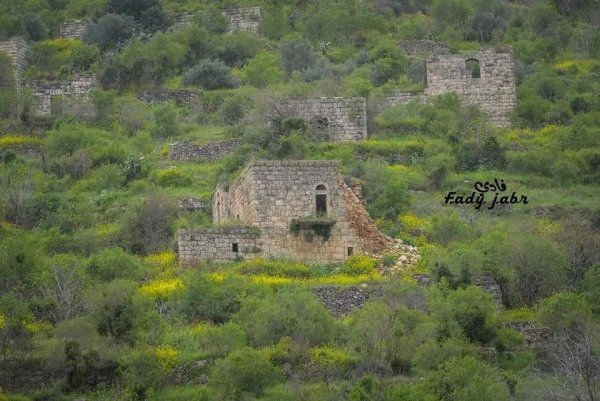 قرية لفتا بعدسة: فادي جبر