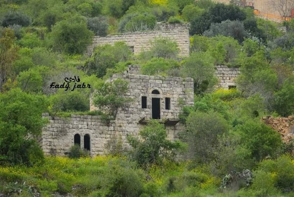 قرية لفتا بعدسة: فادي جبر