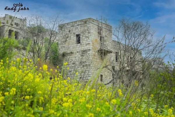 قرية لفتا بعدسة: فادي جبر