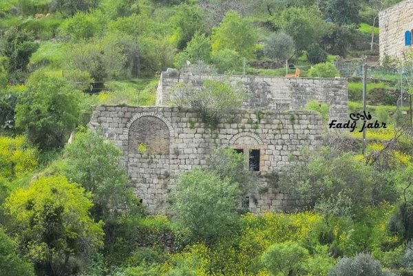 قرية لفتا بعدسة: فادي جبر