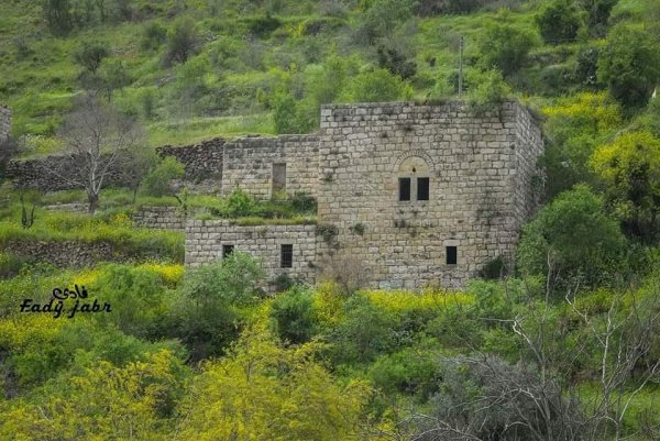 قرية لفتا بعدسة: فادي جبر