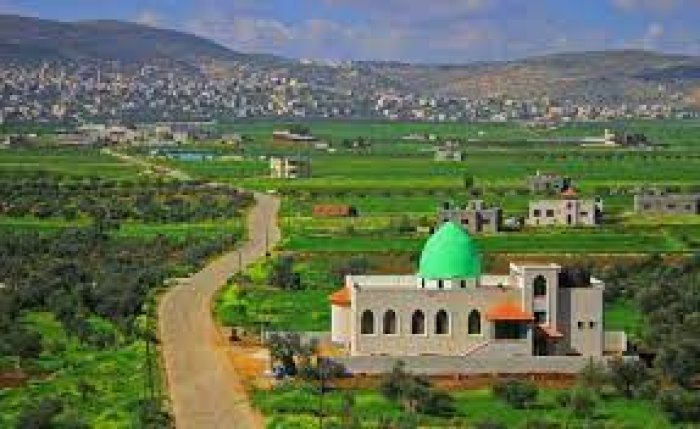 بيت دجن / نابلس  | موسوعة القرى الفلسطينية