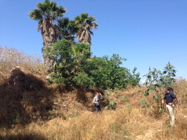  | موسوعة القرى الفلسطينية