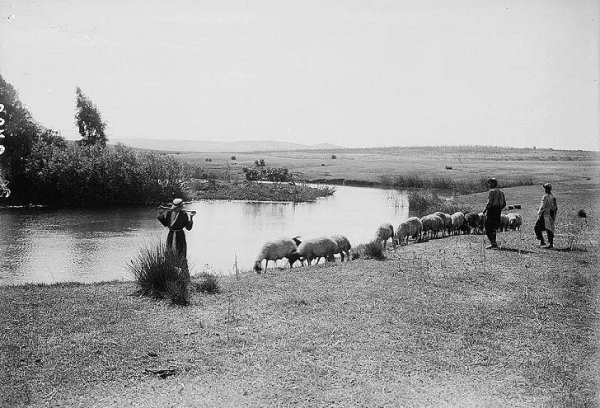  | موسوعة القرى الفلسطينية