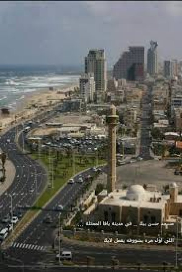  | موسوعة القرى الفلسطينية