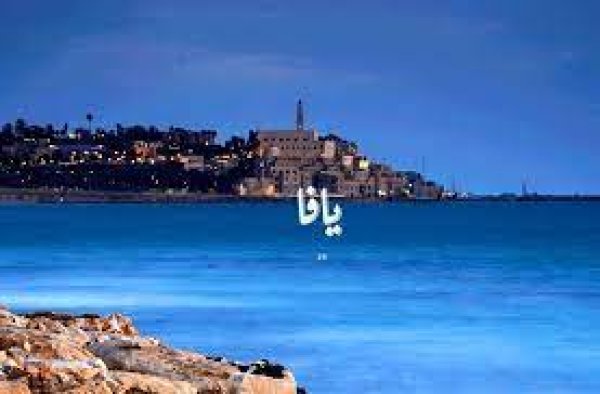  | موسوعة القرى الفلسطينية