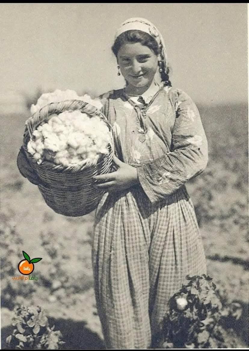  | موسوعة القرى الفلسطينية