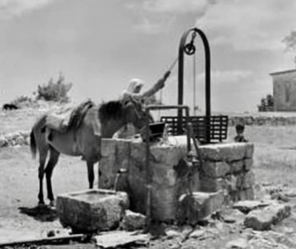 قرية يازور / يافا