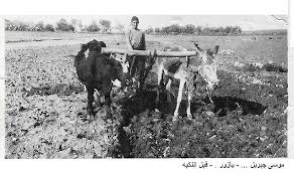 قرية يازور / يافا