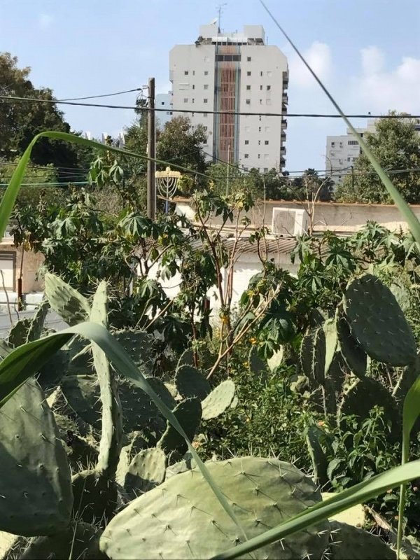  | موسوعة القرى الفلسطينية