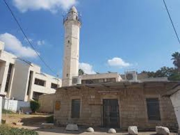  | موسوعة القرى الفلسطينية