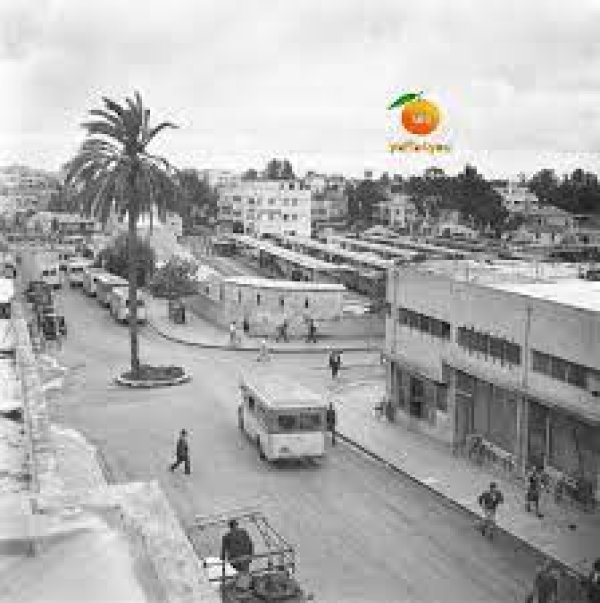  | موسوعة القرى الفلسطينية