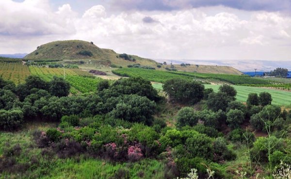 أراضي قرية آبل القمح