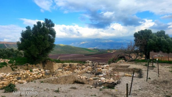 صور حديثة لأراضي قرية آبل القمح نقلاً عن موقع القيامة