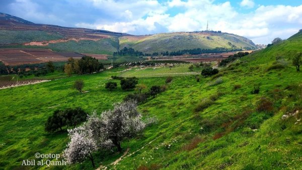 صور حديثة لأراضي قرية آبل القمح نقلاً عن موقع القيامة
