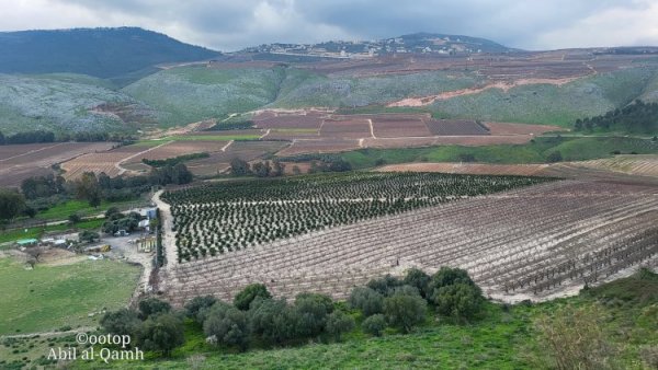صور حديثة لأراضي قرية آبل القمح نقلاً عن موقع القيامة