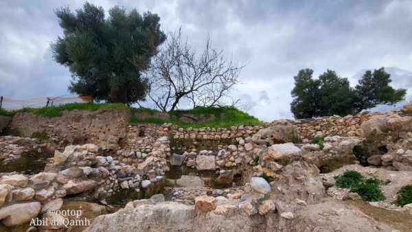 صور حديثة لأراضي قرية آبل القمح نقلاً عن موقع القيامة