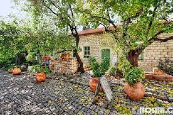 قرية الجاعونة