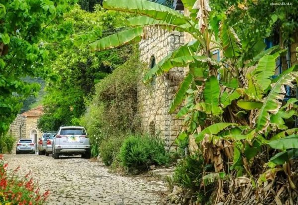 منازل قرية الجاعونة بعدسة علي علي