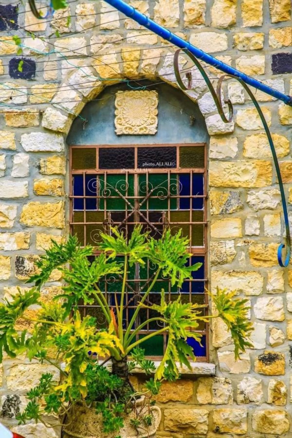 منازل قرية الجاعونة بعدسة علي علي