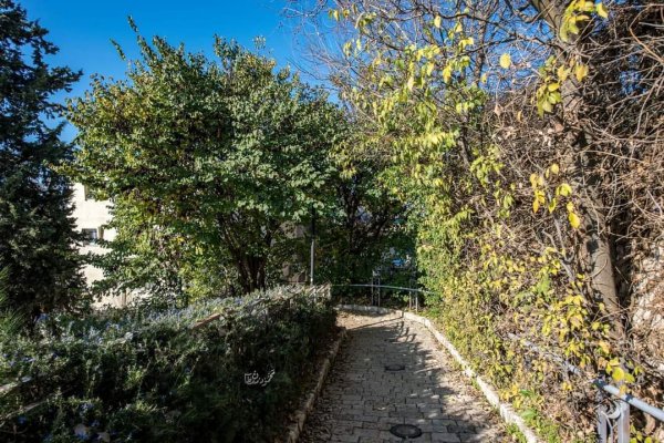 قرية الجاعونة بعدسة:محمود معطان