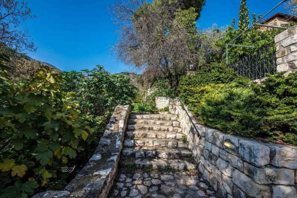 قرية الجاعونة بعدسة:محمود معطان