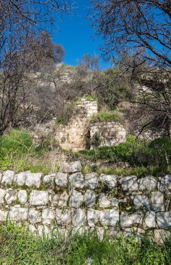 قرية الجاعونة بعدسة:محمود معطان