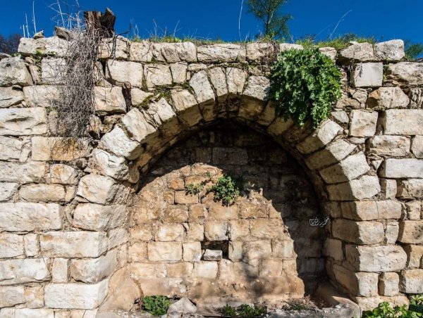 قرية الجاعونة بعدسة:محمود معطان