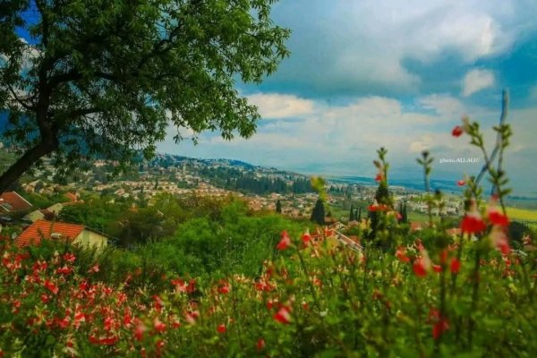 الطبيعة في قرية الجاعونة بعدسة علي علي