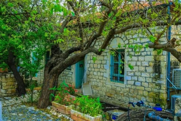 منازل قرية الجاعونة بعدسة علي علي