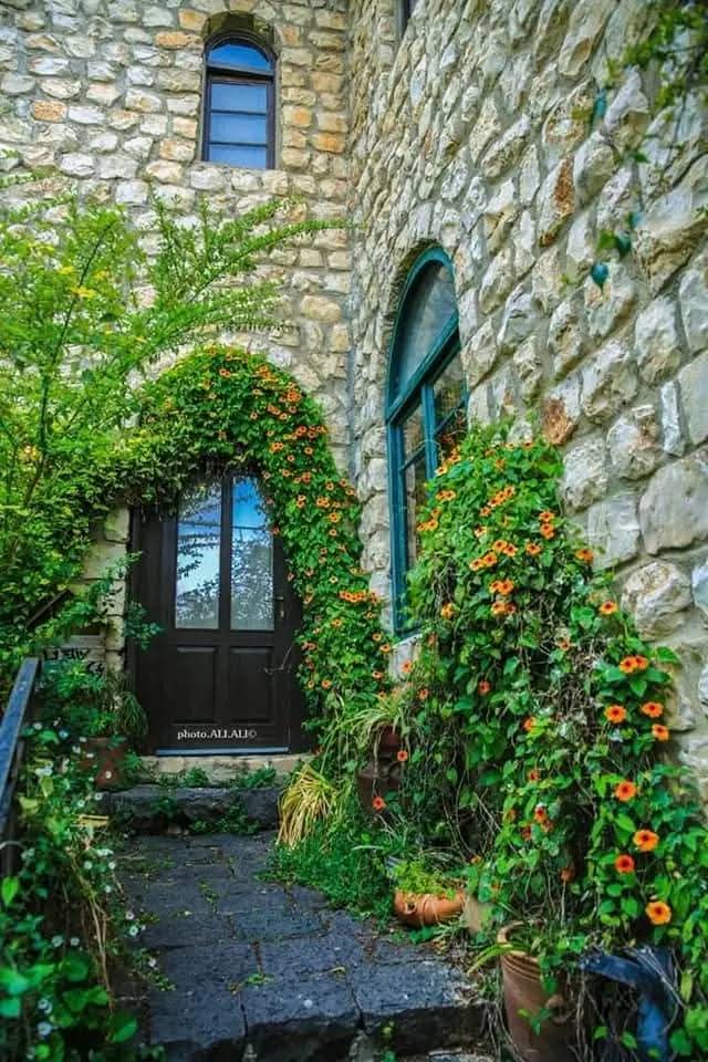 جمال قرية الجاعونة في ريف صفد  تصوير: علي علي