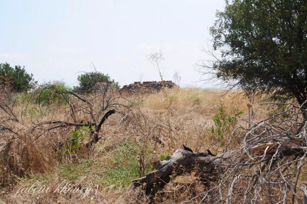  | موسوعة القرى الفلسطينية